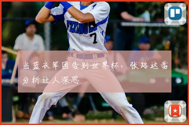 当蓝衣军团告别世界杯,张路这番分析让人深思