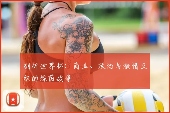 剖析世界杯:商业、政治与激情交织的绿茵战争