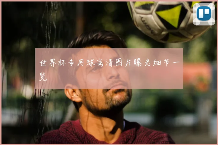 世界杯专用球高清图片曝光细节一览