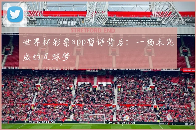 世界杯彩票app暂停背后:一场未完成的足球梦