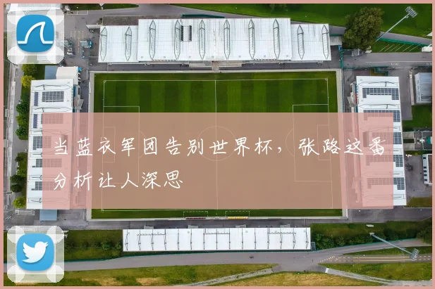 当蓝衣军团告别世界杯，张路这番分析让人深思