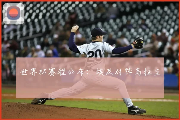 世界杯赛程公布:埃及对阵乌拉圭
