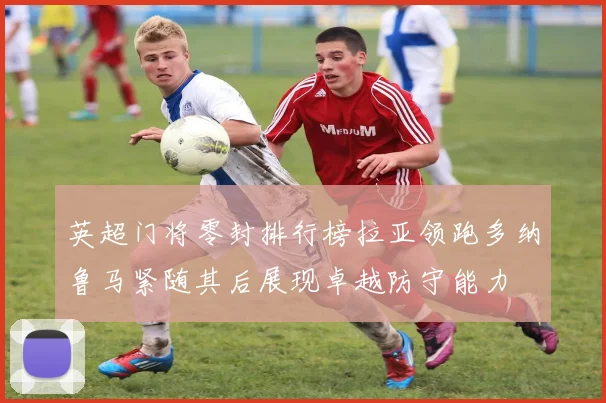 英超门将零封排行榜拉亚领跑多纳鲁马紧随其后展现卓越防守能力