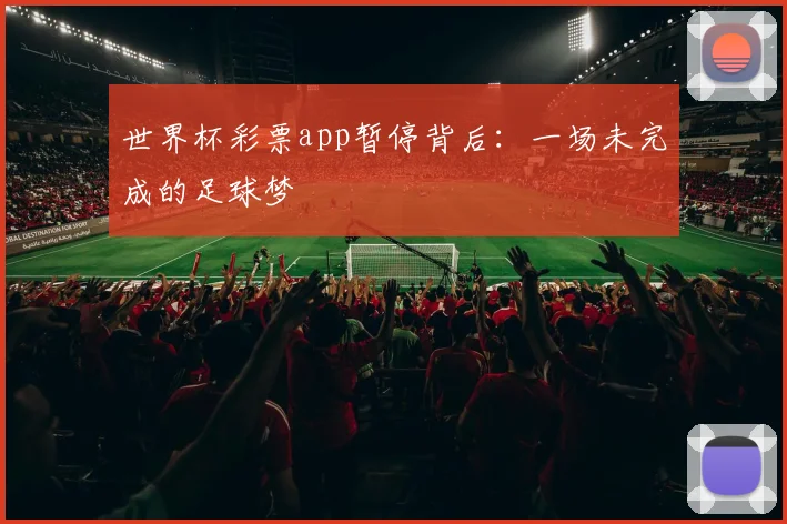 世界杯彩票app暂停背后：一场未完成的足球梦