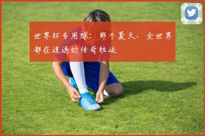 世界杯专用球:那个夏天,全世界都在追逐的传奇轨迹