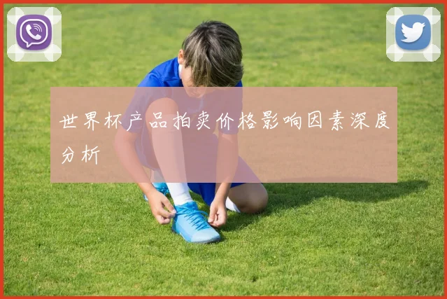 世界杯产品拍卖价格影响因素深度分析
